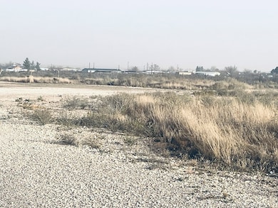 2147 N Crockett, Fort Stockton, TX 79735 - photo 3