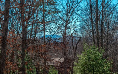 Additional View