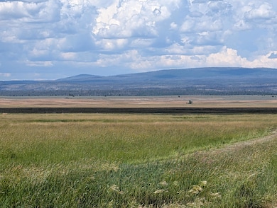 PXL_20250702_213638582