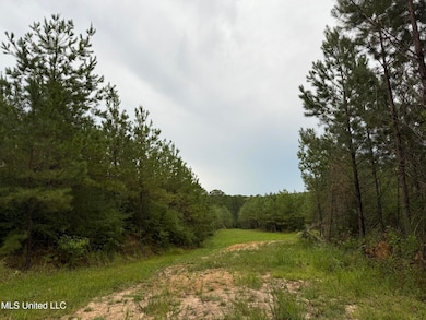 0 Airport Ln, Crosby, MS 39633 - photo 5
