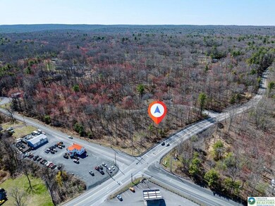 0 Lot85a unit 755921, Pike, PA 18328 - photo 2