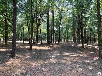 0 Cr 3201 & Cr 3203 unit 117264, Dekalb, TX 75559 - photo 2