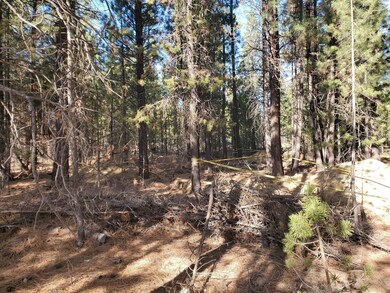 16907 Covina Rd, Bend, OR 97707 - photo 4