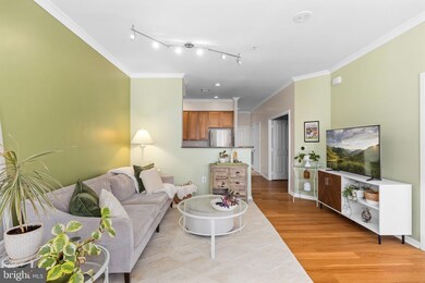 The Park at Courthouse unit PH05, Arlington, VA 22201 - photo 7