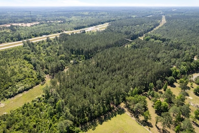 29.81 ac Hwy 49 and Hwy 13, Brooklyn, MS 39425 - photo 7