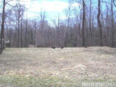 17983 476th Ln, McGregor, MN 55760 - photo 2