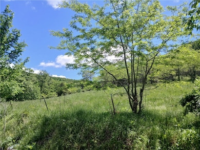 642 County Road 605, Green Forest, AR 72638 - photo 7