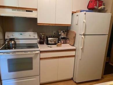 867 Park St unit 101, Oregon, WI 53575 - photo 5