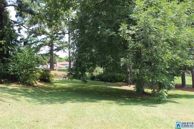 1021 Chalkville School Rd, Center Point, AL 35215 - photo 6
