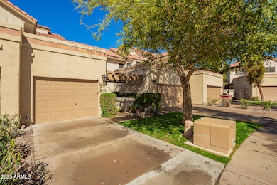 02 - Mountain View 9705
