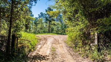 0 Gilmer Bridge Lots, Delight, AR 71958 - photo 7