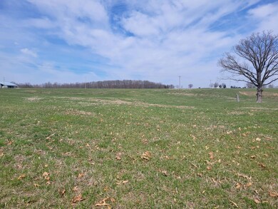 000 N Mm N, Mountain Grove, MO 65711 - photo 3