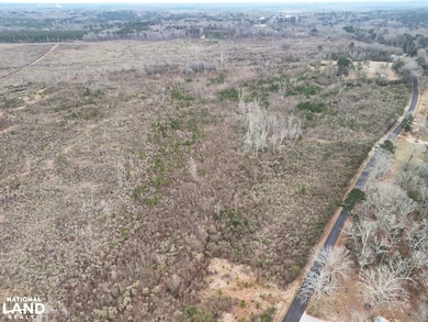 Hwy 13 Morton Ms, Morton, MS 39117 - photo 2