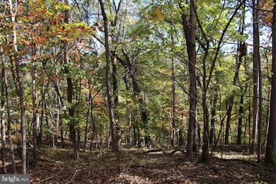 0 River View Place unit VAPA2005486, Shenandoah, VA 22849 - photo 2