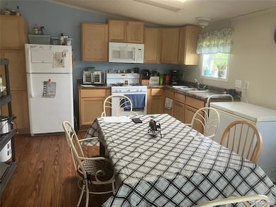 402 Katie Ln, Morrice, MI 48857 - photo 2