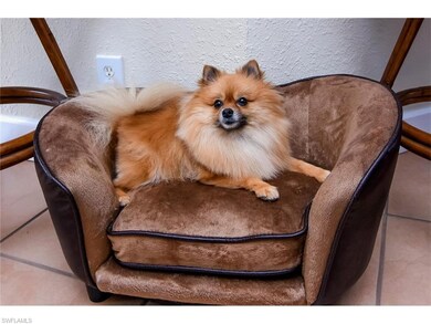 This Princess Welcomes All Pets In This Home!
