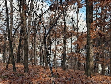 Lot 46 Carol Rd, Pawhuska Township, MO 65049 - photo 3