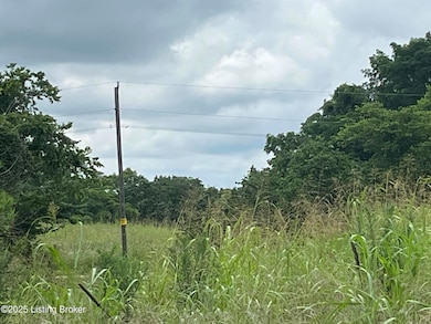 3224-2 Goose Creek Rd, Sanders, KY 41083 - photo 3