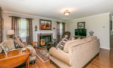-0018 ADLER CT