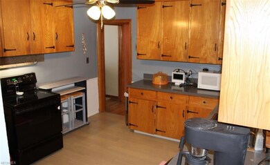 Here is the view from the back door through the ki
