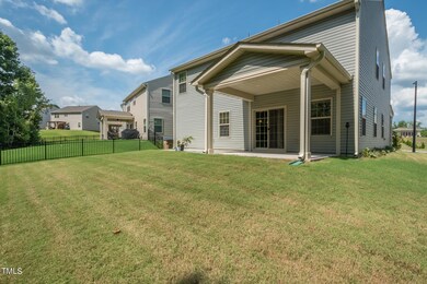 Rear 1 - 1157 Spring Meadow Way-1