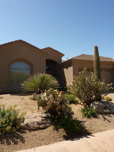Beautiful Desert Landscape