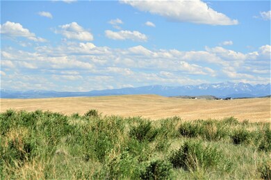 DSC_0307 (2)