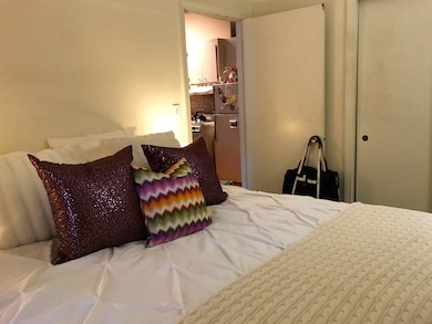 194 W Brookline St unit 3, Boston, MA 02118 - photo 4