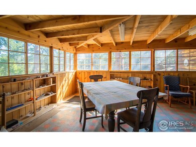 Sunshine Through the Trees