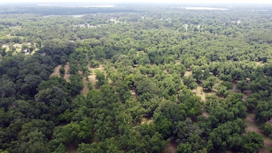 0 Hwy 3n unit 161947, Baconton, GA 31716 - photo 4