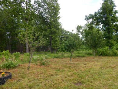 Apple Trees