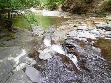 Land. Another view of the swimming hole.