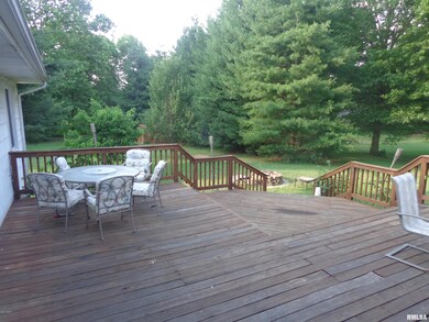 1408 Barnett Rd, Harrisburg, IL 62946 - photo 6