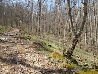 00 Gentry Farm Rd, Spring Creek, NC 28743 - photo 2