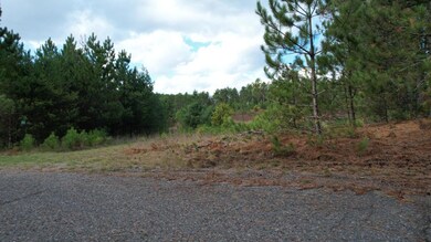 ON Forest Rd unit 1.9 ac, Tomahawk, WI 54487 - photo 7