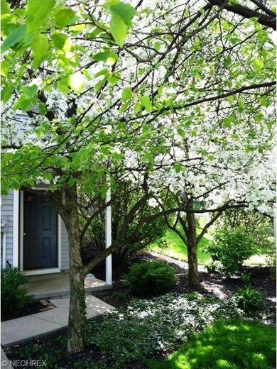 This is what you will get to see in the Spring & S