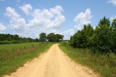 Lot 59 Sundance Ln, Franklinton, LA 70438 - photo 2