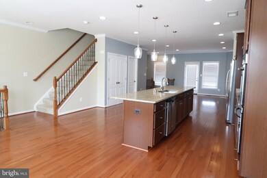 25096 Green Mountain Terrace, Aldie, VA 20105 - photo 4