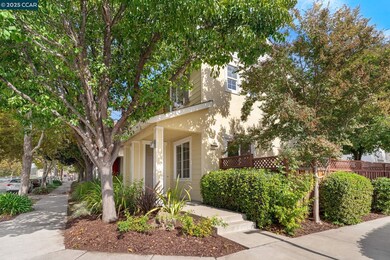 2805 Euclid Ave, Concord, CA 94519 - photo 4