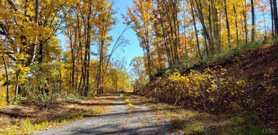 0 Lexington Turnpike unit 342098, Oronoco, VA 24521 - photo 4