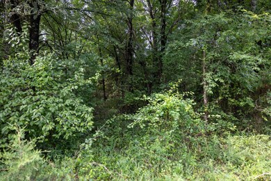 2 N 3800 Rd, Okemah, OK 74859 - photo 7