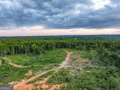 0 Roy Dean Rd unit 10564383, Buchanan, GA 30113 - photo 3