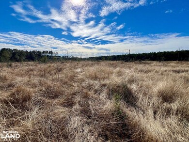 0 Bud Odom Rd unit 25514042, Deer Park, AL 36529 - photo 6