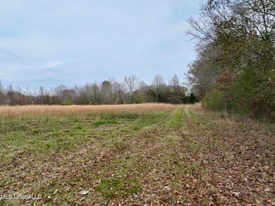 0001 Brown Rd, Canton, MS 39046 - photo 5