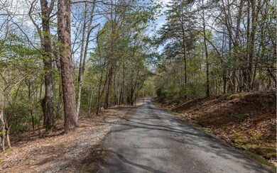LT 59 Big Creek Mountain, Ellijay, GA 30536 - photo 4