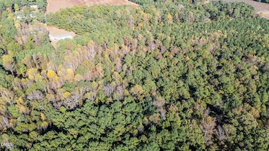 6-web-or-mls-DJI_20251024153120_0361_D