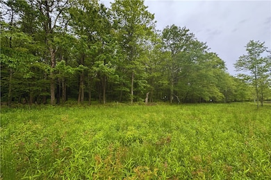Tree Line- Mature Growth on Site