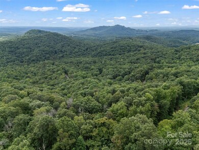 0 Peartree Dr unit 526 CAR4293152, Lake Lure, NC 28746 - photo 6