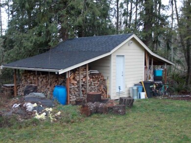 17039 Russian Hill Ln SE, Rainier, WA 98576 - photo 5