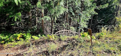 0 Alder 3